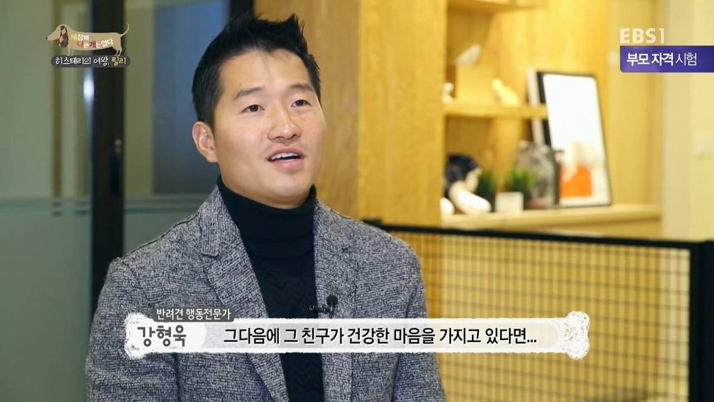 [세상에나쁜개는없다] 가족들에게 짖고 무는 강아지 릴리햏 | 인스티즈