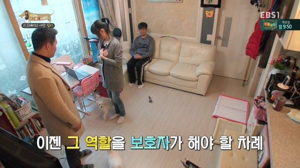 [세상에나쁜개는없다] 가족들에게 짖고 무는 강아지 릴리햏 | 인스티즈