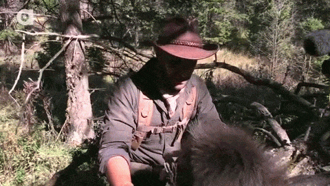 겁이 뭔지 잊어버린 동물 전문가.gif | 인스티즈