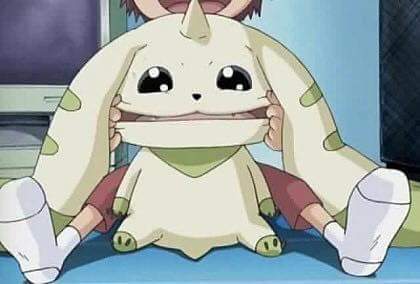 테리어몬 짤 모음 | 인스티즈