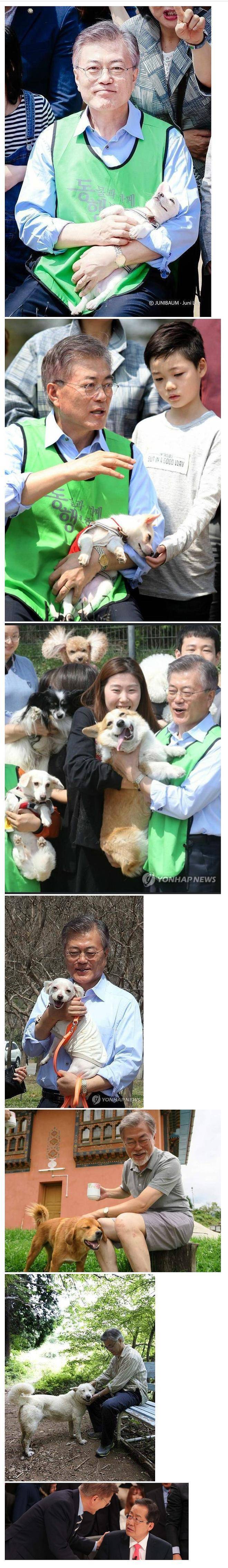 문재인의 조련술.jpg | 인스티즈