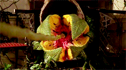 한번 시작하면 끝날 때까지 되돌릴 수 없는 게임 : 쥬만지 (1995) | 인스티즈