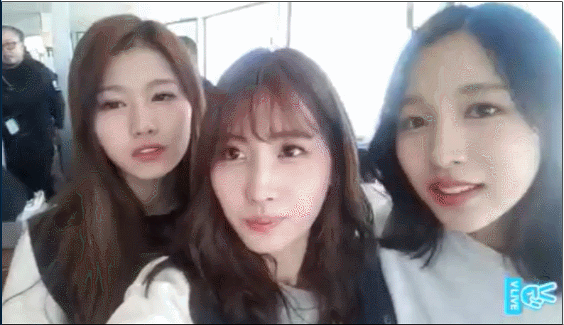 모모와 사나 | 인스티즈