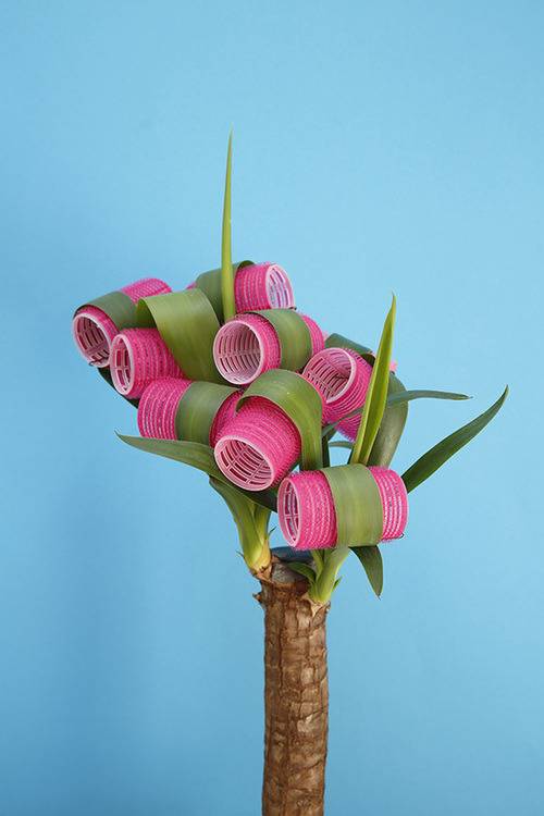 뇌가 말랑해지는 느낌의 이색적인 조화 . jpg | 인스티즈