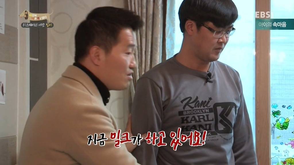 [세상에나쁜개는없다] 가족들에게 짖고 무는 강아지 릴리햏 | 인스티즈