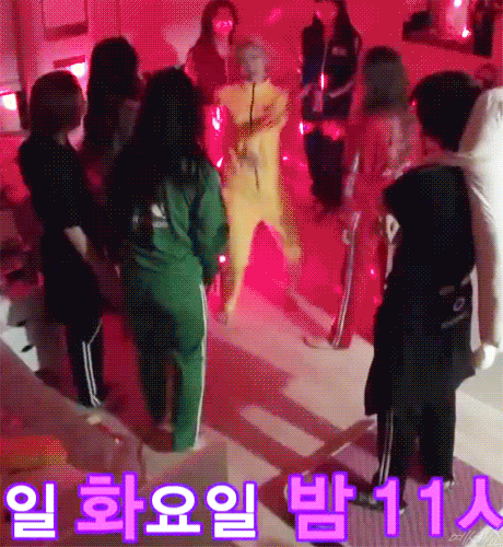 [트와이스] 트와이스 비글미 모음1 | 인스티즈