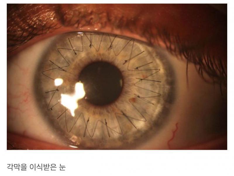 죽기 전에 봐야할 궁금한 내부 외부 모습들 | 인스티즈