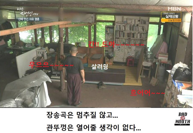 말벌 이후 레전드 경신한 나는 자연인이다 ㅋㅋㅋㅋㅋㅋㅋ | 인스티즈