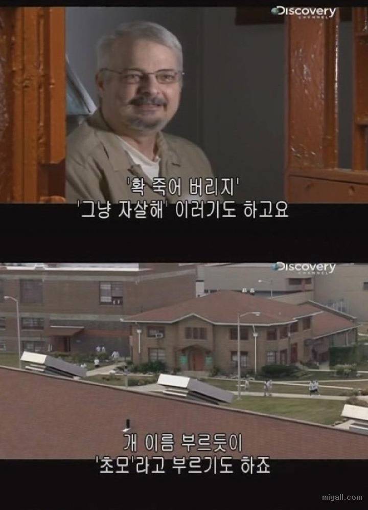 미국 교도소에 아동성범죄자가 들어가면 생기는일 | 인스티즈