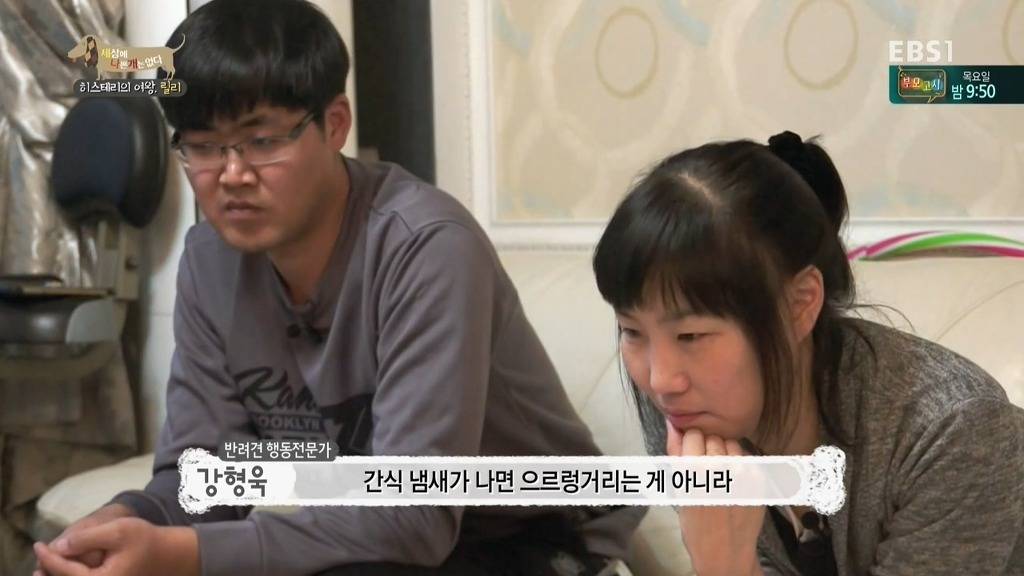 [세상에나쁜개는없다] 가족들에게 짖고 무는 강아지 릴리햏 | 인스티즈