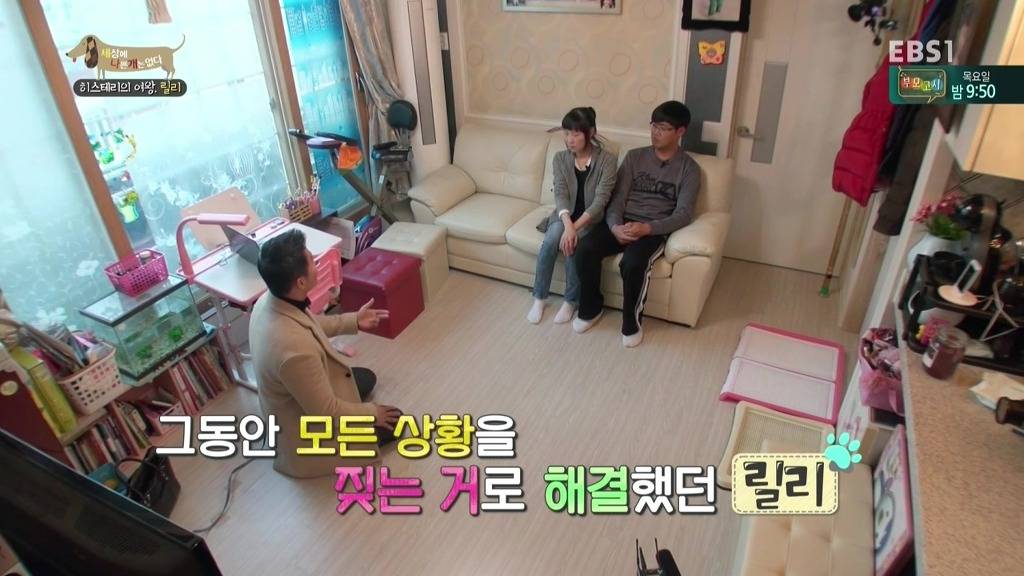 [세상에나쁜개는없다] 가족들에게 짖고 무는 강아지 릴리햏 | 인스티즈