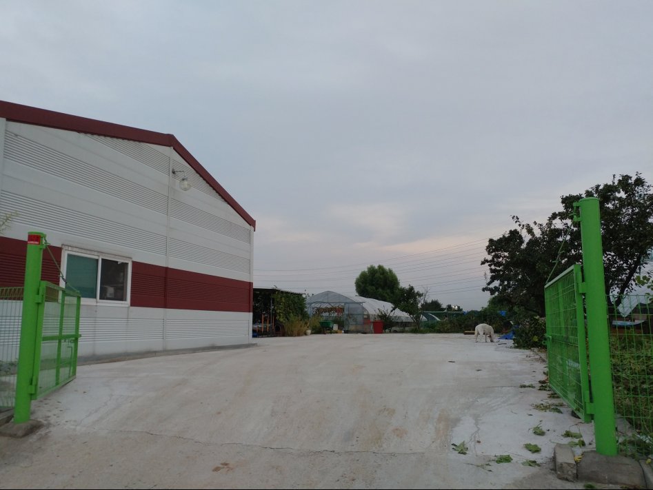 도심에서 즐기는 전원생활 | 인스티즈