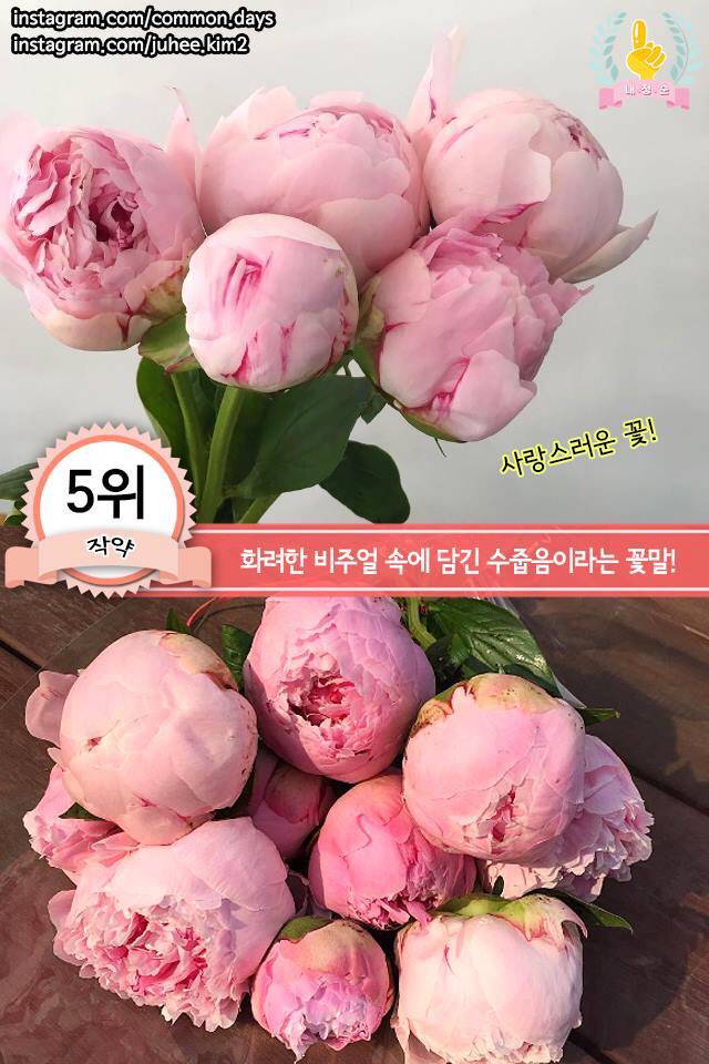 여자친구를 위한 봄 꽃다발 BEST | 인스티즈