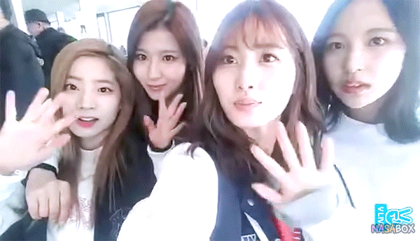 모모와 사나 | 인스티즈