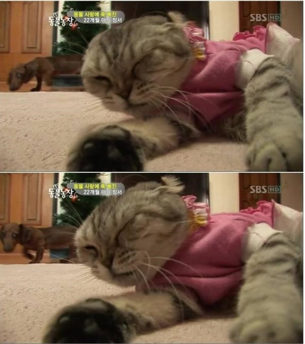 전설아니고 레전드 | 인스티즈