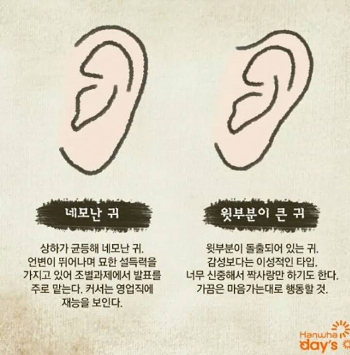 귀모양으로 보는 성격! | 인스티즈