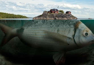 초현실주의 사진작가 에릭 요한슨 | 인스티즈