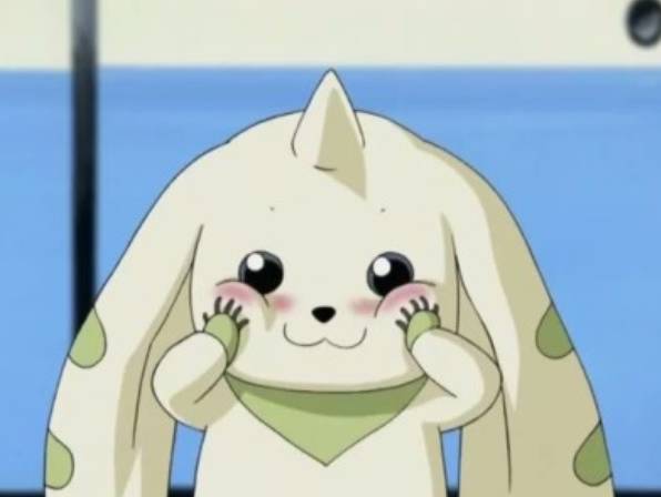 테리어몬 짤 모음 | 인스티즈