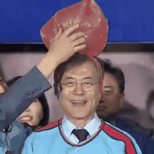 머리위에 뭘 얹기만 하면 짱덕터지는 이니.jpgif | 인스티즈