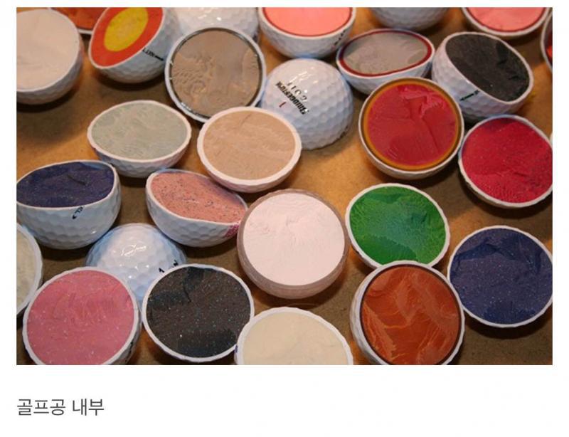 죽기전에 봐야할 궁금 내부 외부 모습들.jpg | 인스티즈