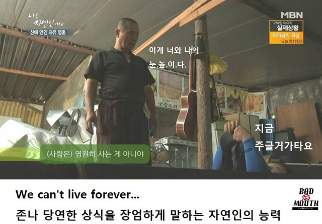 말벌 이후 레전드 경신한 나는 자연인이다 ㅋㅋㅋㅋㅋㅋㅋ | 인스티즈