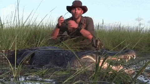 겁이 뭔지 잊어버린 동물 전문가.gif | 인스티즈