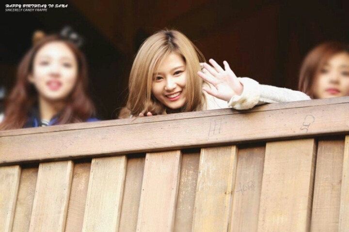 존시나 바카나 사나 보다는 트와이스 사나 | 인스티즈