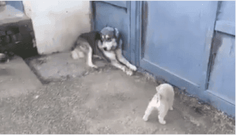 무고죄 레전드 | 인스티즈