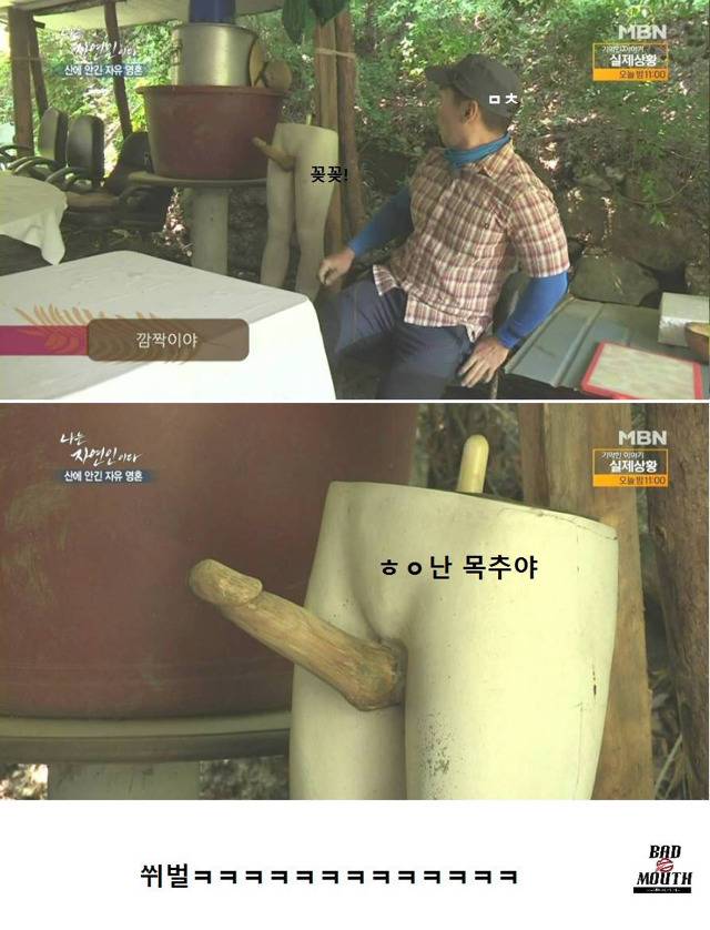 말벌 이후 레전드 경신한 나는 자연인이다 ㅋㅋㅋㅋㅋㅋㅋ | 인스티즈