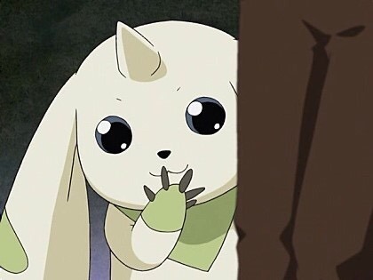 테리어몬 짤 모음 | 인스티즈