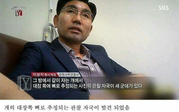 궁금한이야기Y 역대급 난제 ㄷㄷ | 인스티즈