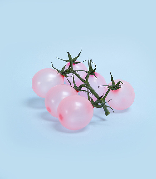 뇌가 말랑해지는 느낌의 이색적인 조화 . jpg | 인스티즈