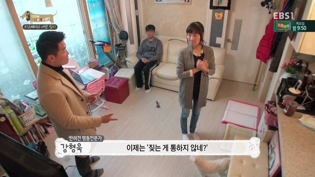 [세상에나쁜개는없다] 가족들에게 짖고 무는 강아지 릴리햏 | 인스티즈