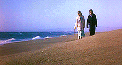 한번 시작하면 끝날 때까지 되돌릴 수 없는 게임 : 쥬만지 (1995) | 인스티즈