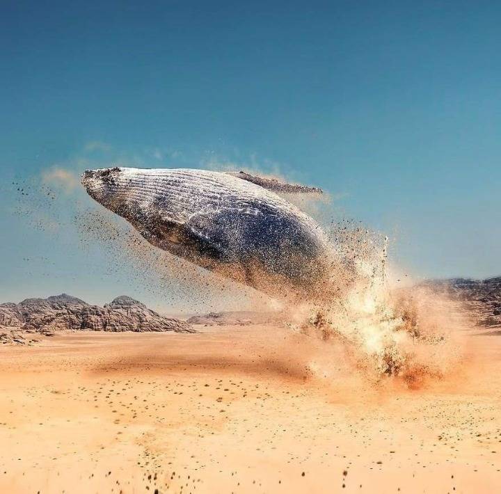 초현실주의 작품들 jpg | 인스티즈