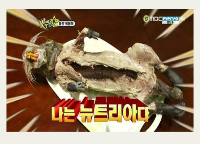 경남지역에 퍼져가고있는 뉴트리아를 요리 (조또시룸ㅈㅇ) | 인스티즈