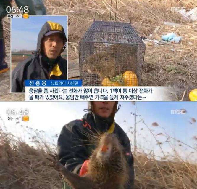 뉴트리아 멸종 위기 ㅠㅜ.jpg | 인스티즈