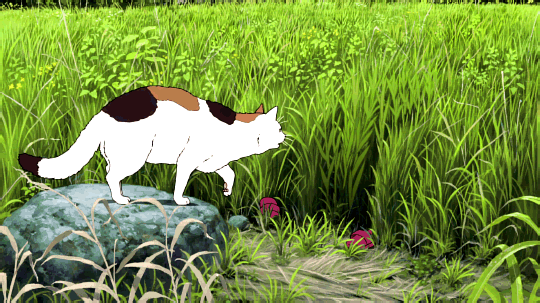 [영화] 늑대아이 (2012) | 인스티즈