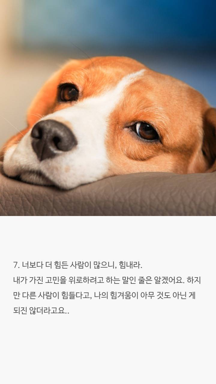 때론 공감하기힘든 유명한말들 | 인스티즈