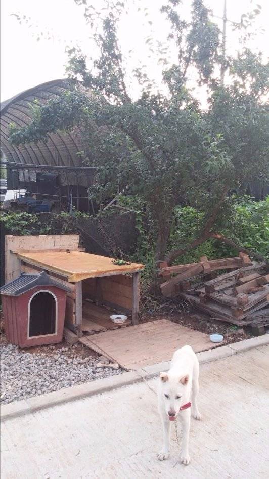 도심에서 즐기는 전원생활 | 인스티즈