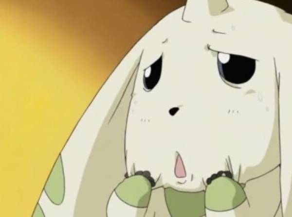 테리어몬 짤 모음 | 인스티즈