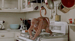 한번 시작하면 끝날 때까지 되돌릴 수 없는 게임 : 쥬만지 (1995) | 인스티즈