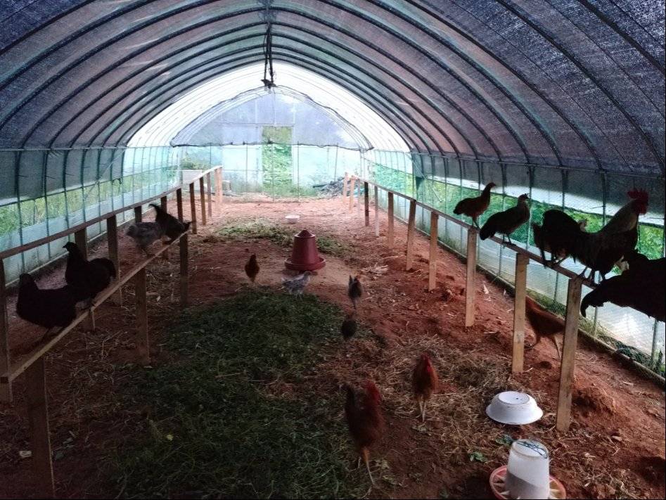 도심에서 즐기는 전원생활 | 인스티즈