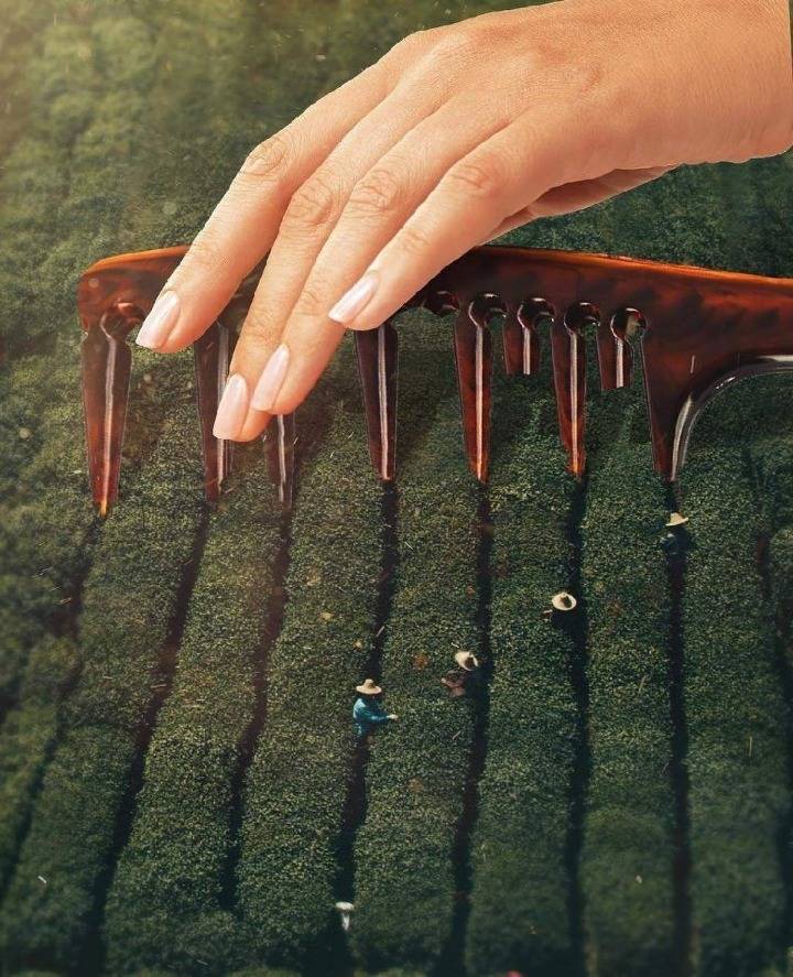 초현실주의 작품들 jpg | 인스티즈