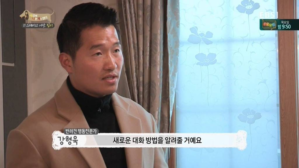 [세상에나쁜개는없다] 가족들에게 짖고 무는 강아지 릴리햏 | 인스티즈