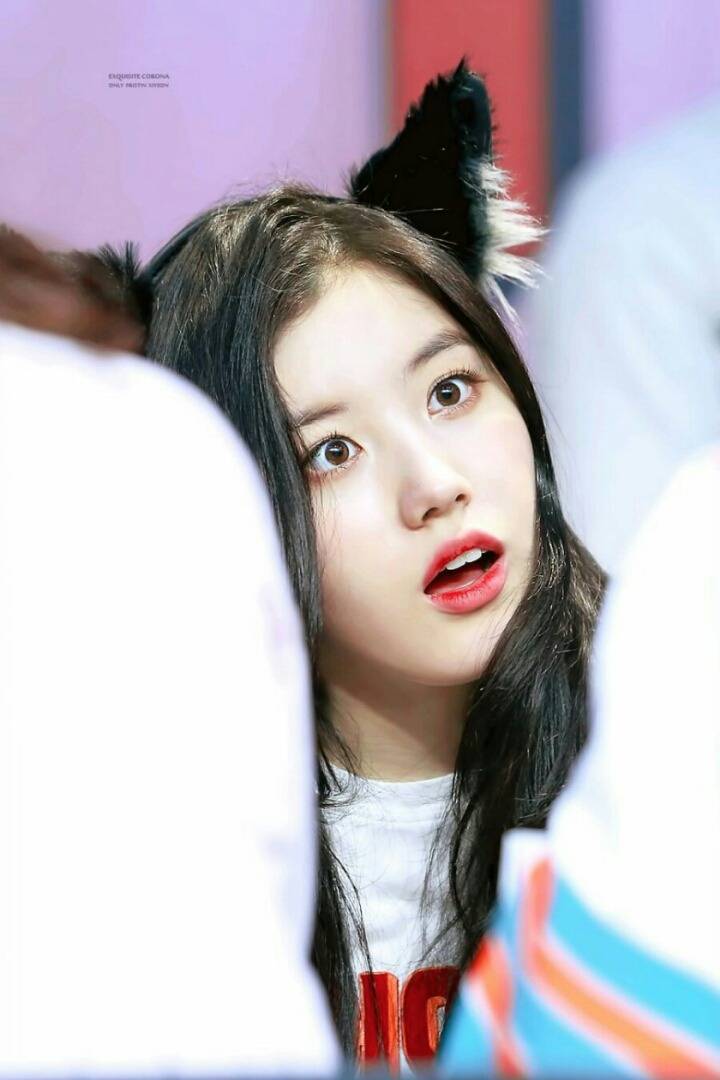 프리스틴 시연 | 인스티즈