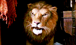 한번 시작하면 끝날 때까지 되돌릴 수 없는 게임 : 쥬만지 (1995) | 인스티즈