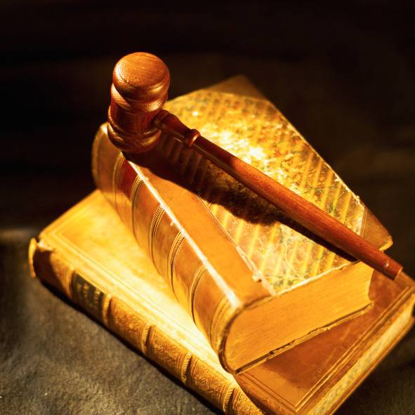 당신이 만약 법 중에 두가지를 개정할수 있다면? | 인스티즈