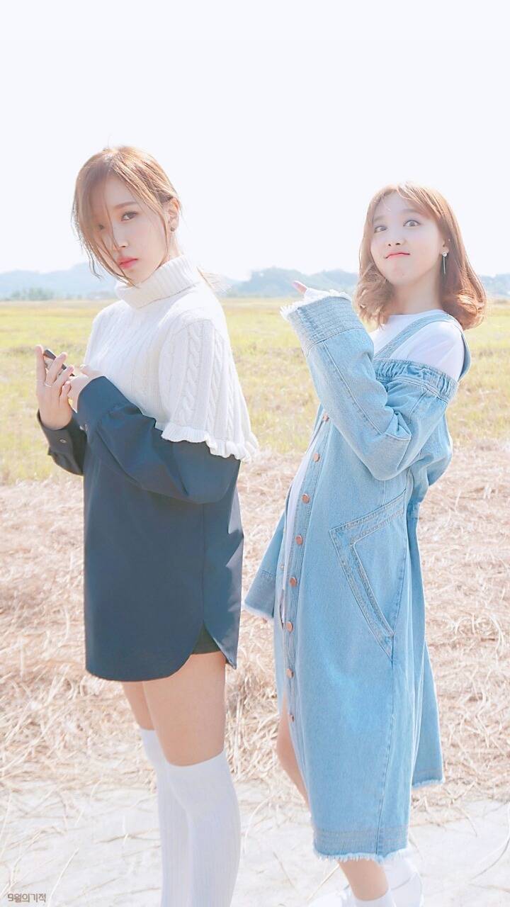 트와이스의 미모 원탑은? | 인스티즈