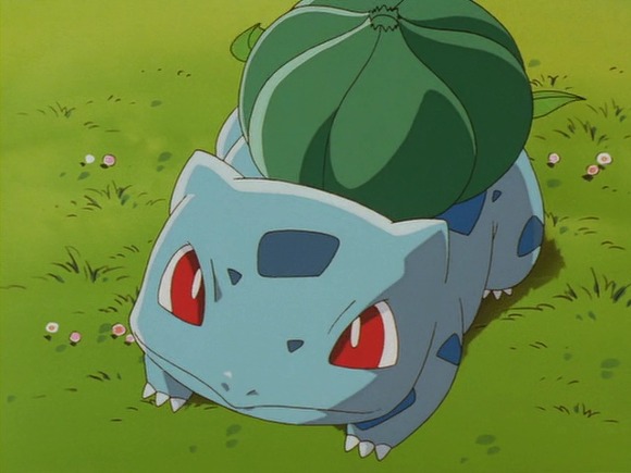 파이리 vs 이상해씨 vs 꼬부기 | 인스티즈